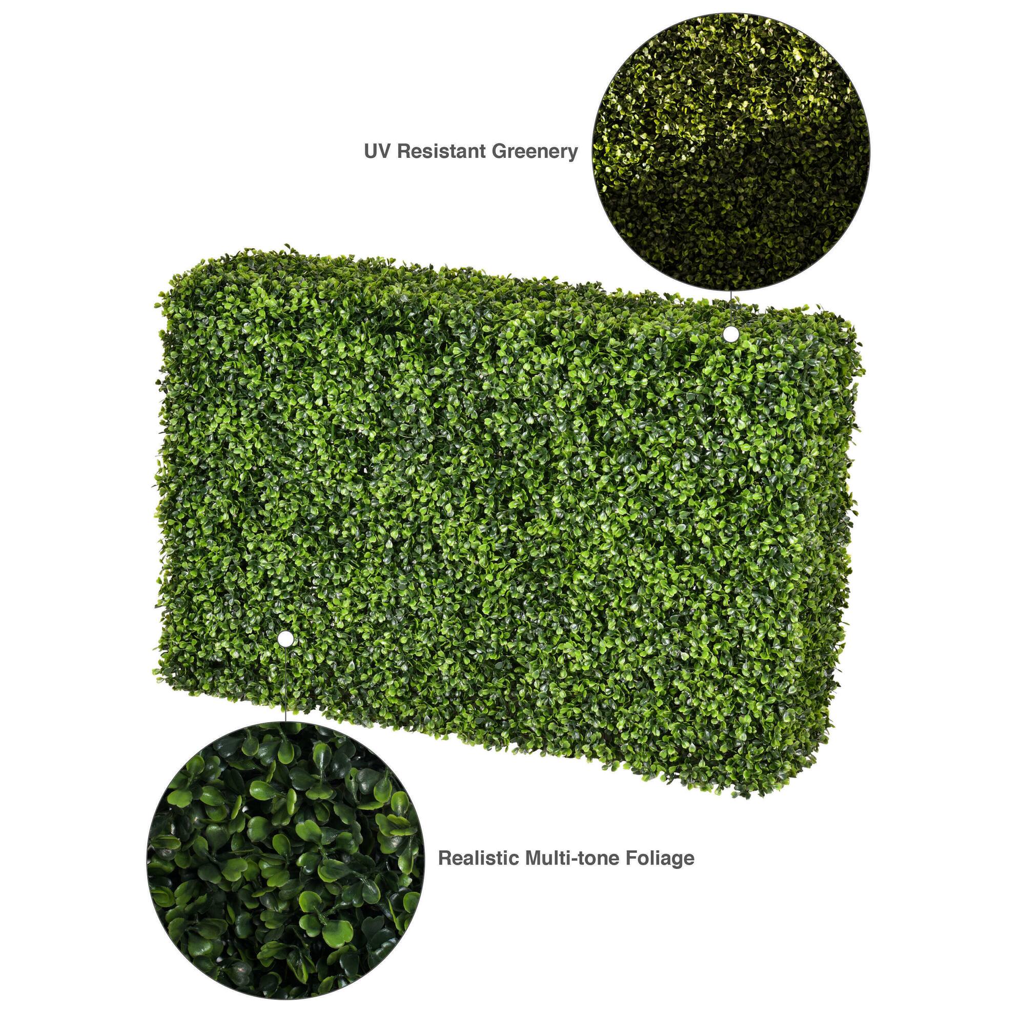 2ft. Boxwood Hedge